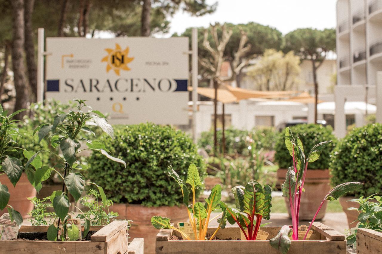 Saraceno With Private Hotel